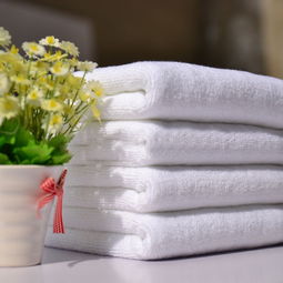 彩陽日用品 產品優勢與加盟前景解析